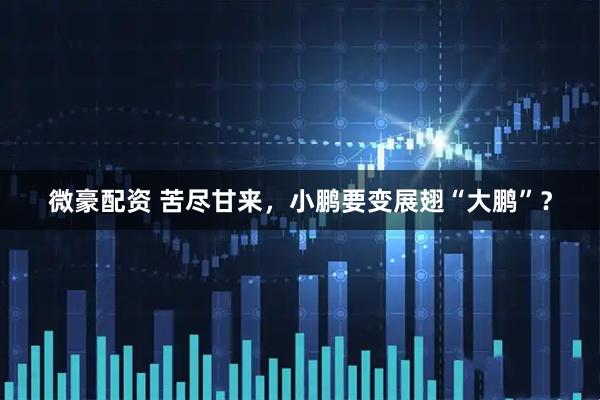 微豪配资 苦尽甘来，小鹏要变展翅“大鹏”？