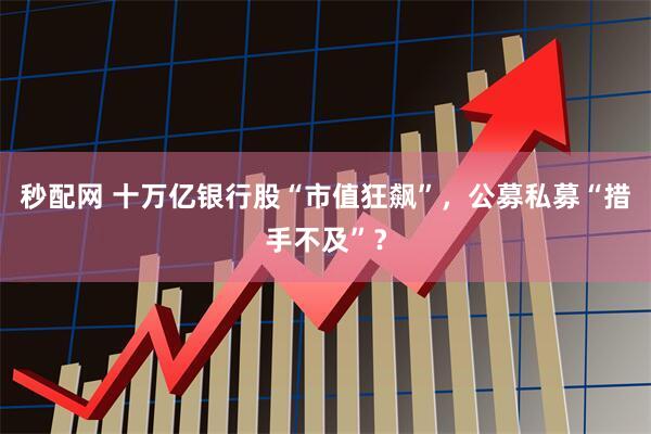秒配网 十万亿银行股“市值狂飙”，公募私募“措手不及”？