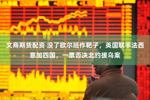 文商期货配资 没了欧尔班作靶子，英国联手法西意加四国，一票否决北约援乌案